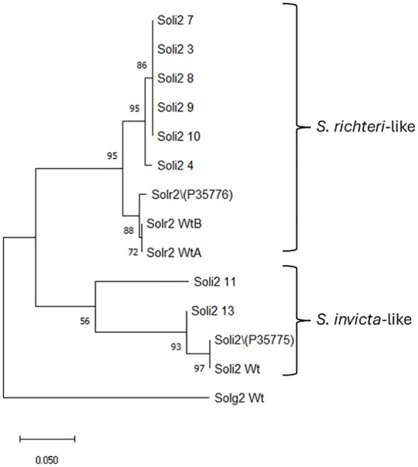 Figure 3