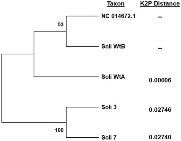 Figure 5