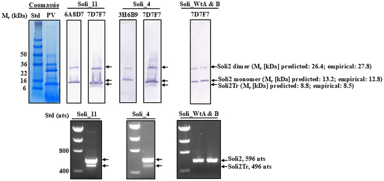 Figure 6