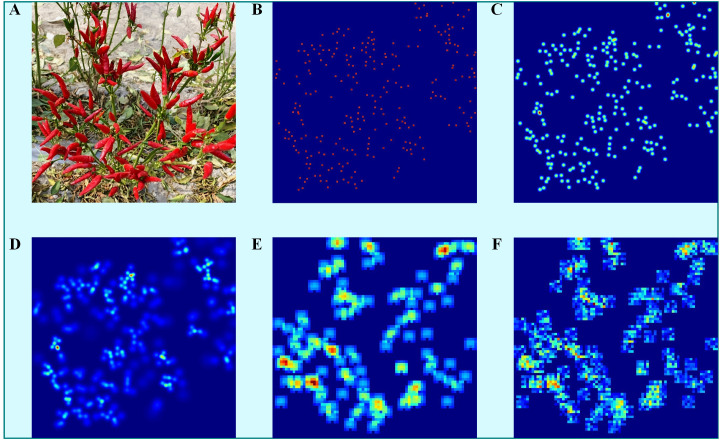Figure 12