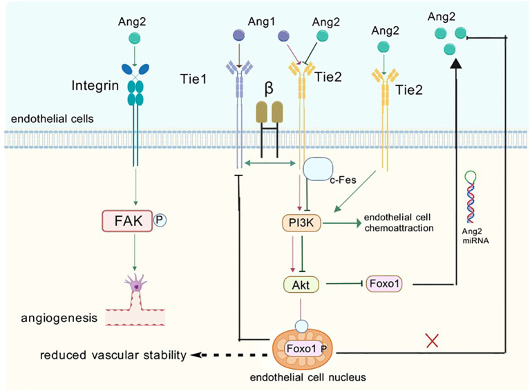 Figure 5