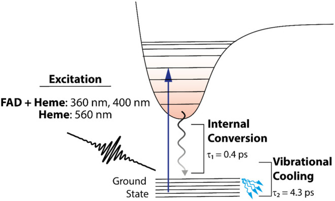 Figure 9