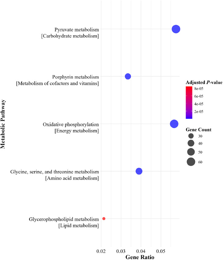 Figure 5