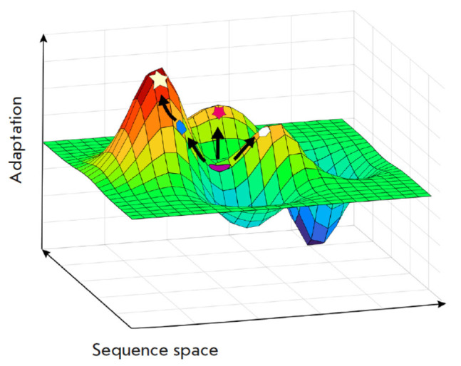 Fig. 1