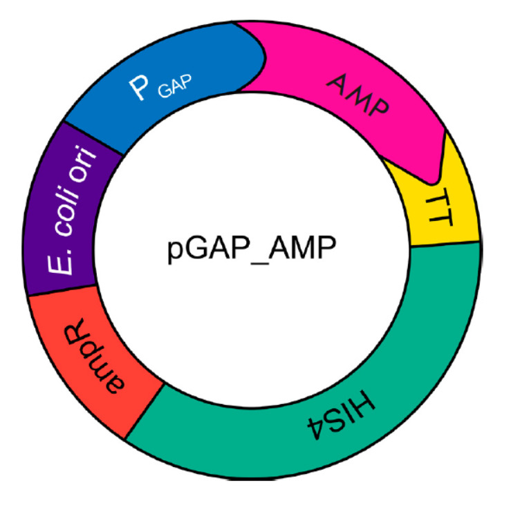 Fig. 2