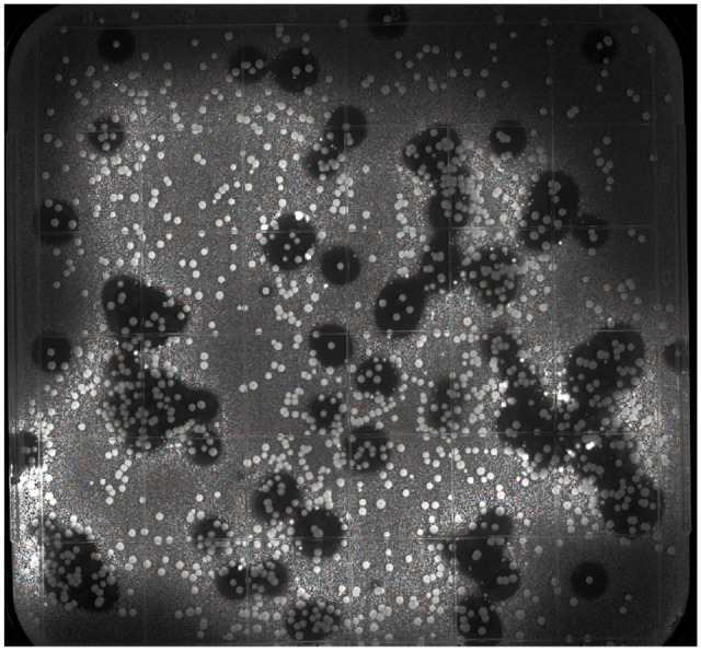 Fig. 4