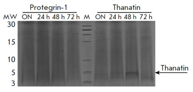 Fig. 5