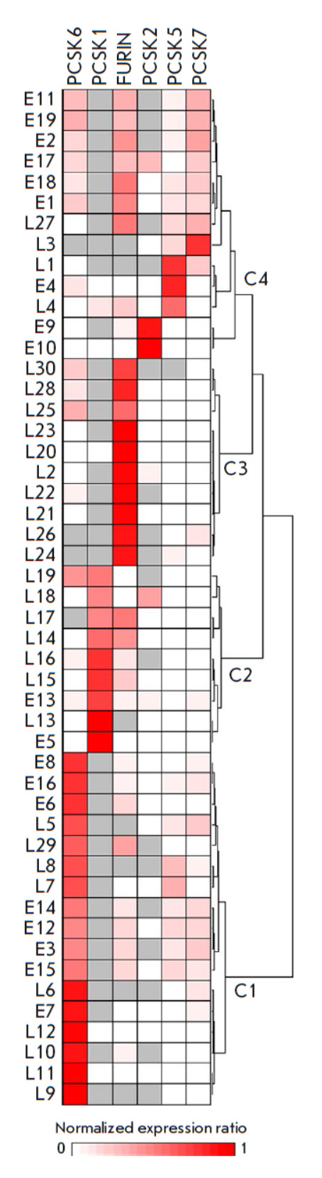 Fig. 4