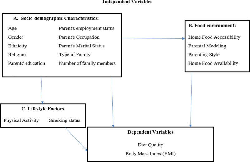 Fig 1