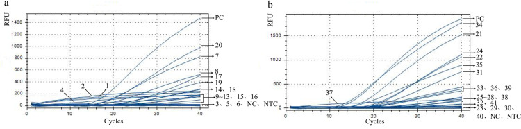 Fig 6