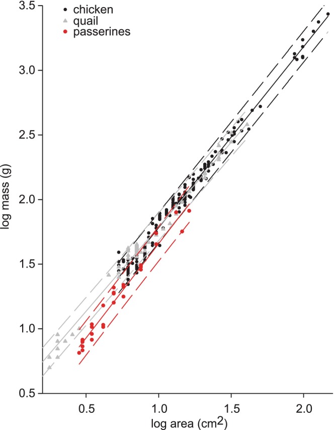 FIGURE 3
