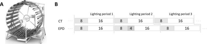 FIGURE 1