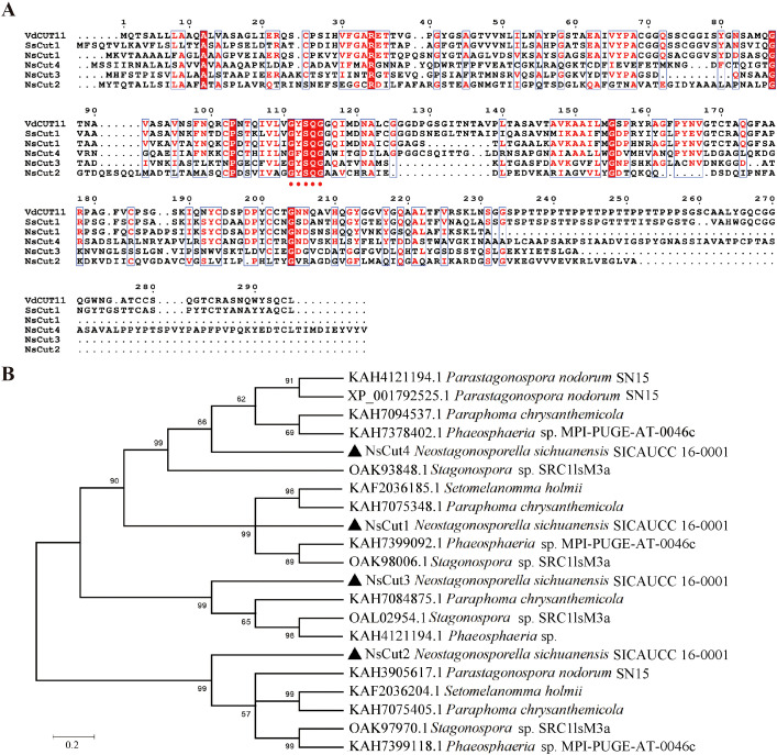 Figure 2