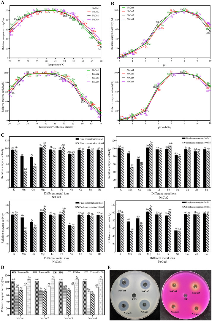 Figure 3