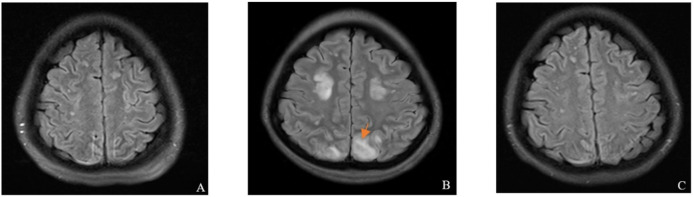 Figure 1