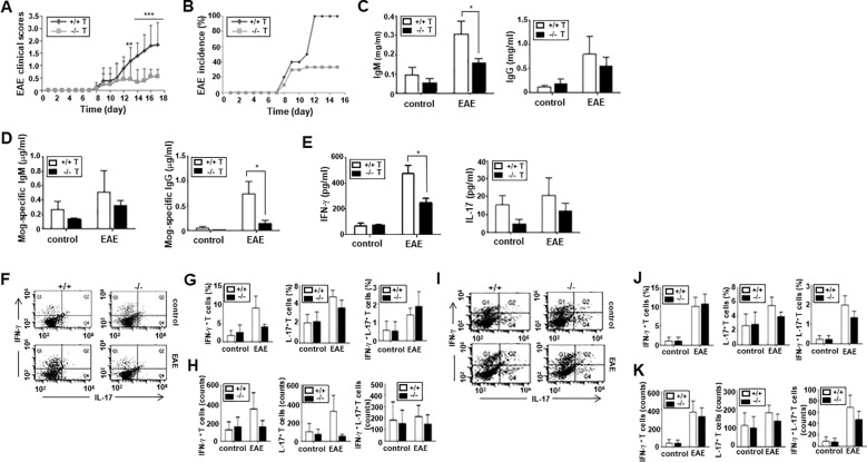 Figure 6