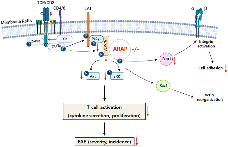 Figure 7