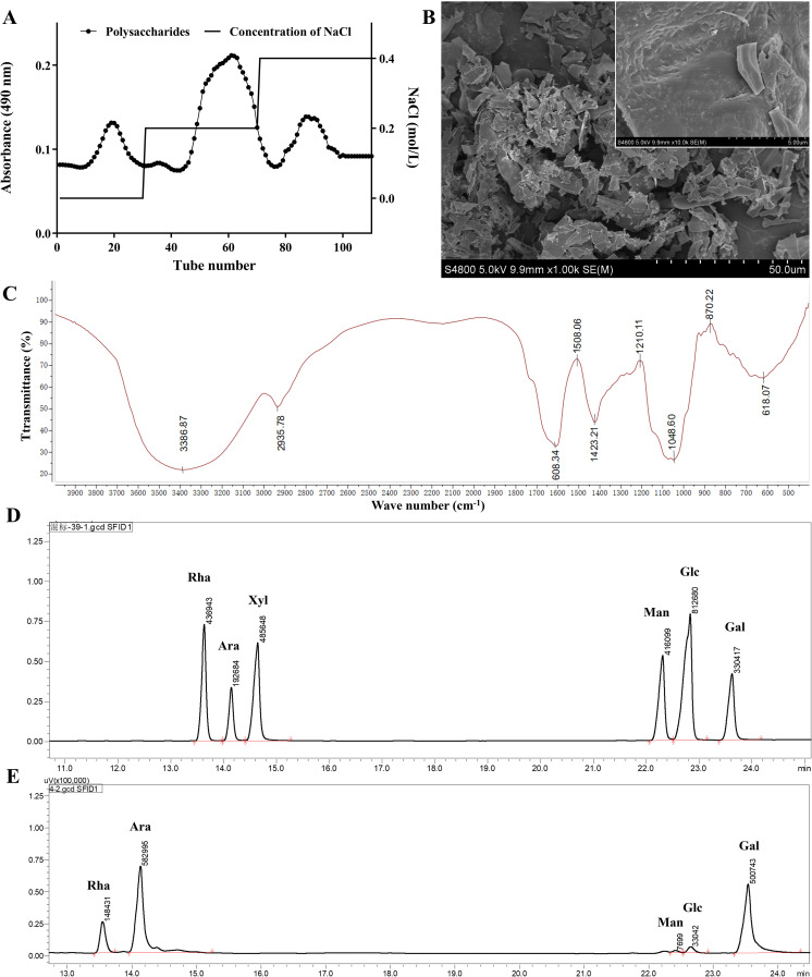 Figure 1