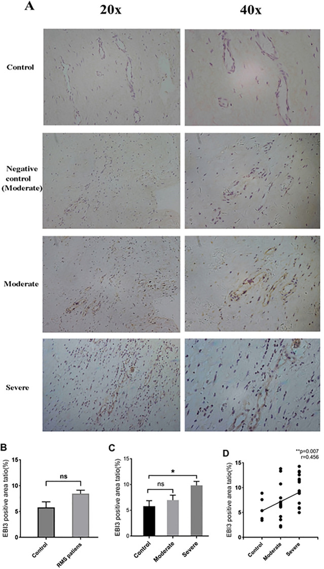 Figure 4