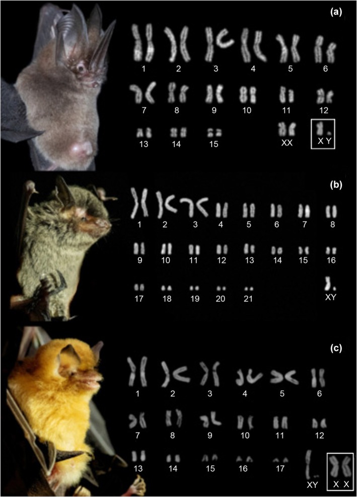 FIGURE 3