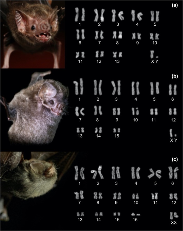 FIGURE 2