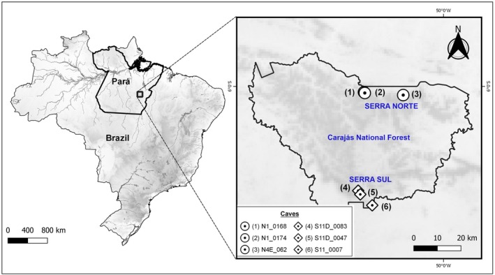 FIGURE 1