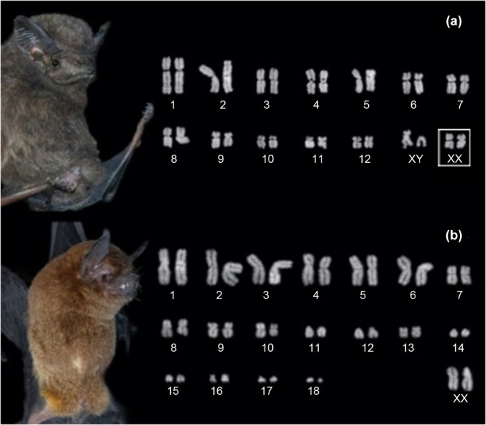 FIGURE 4