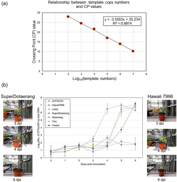 Figure 7