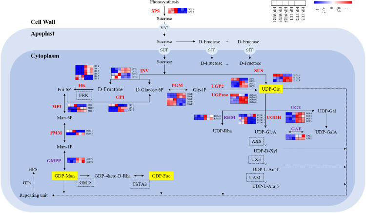 Figure 5