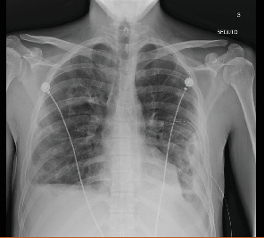 Figure 8