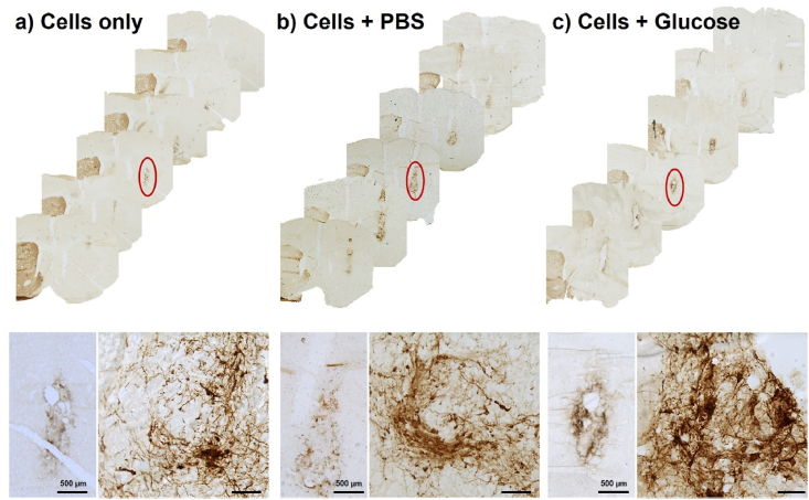 Figure 12