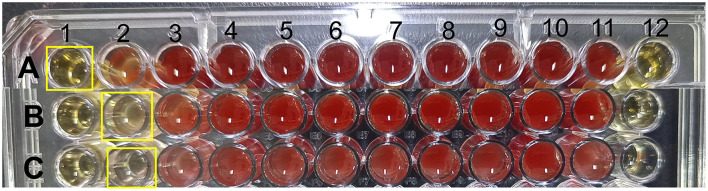 Figure 5