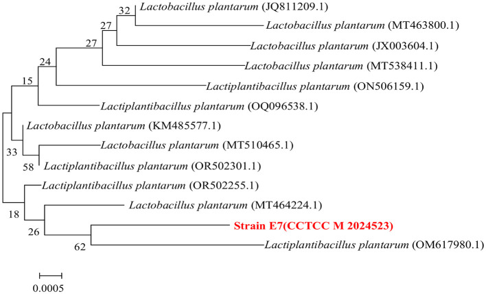 Figure 7