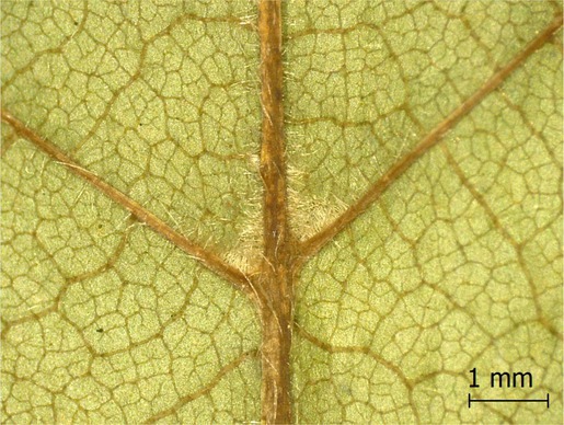 Figure 8