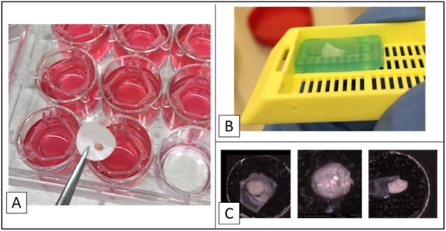 Figure 5