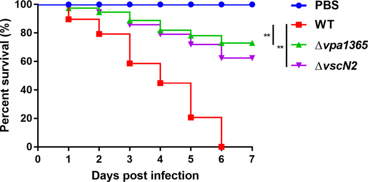Fig 7