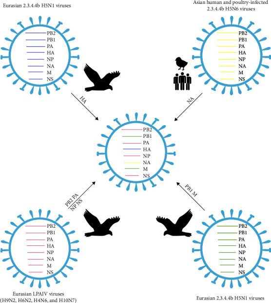 Figure 2