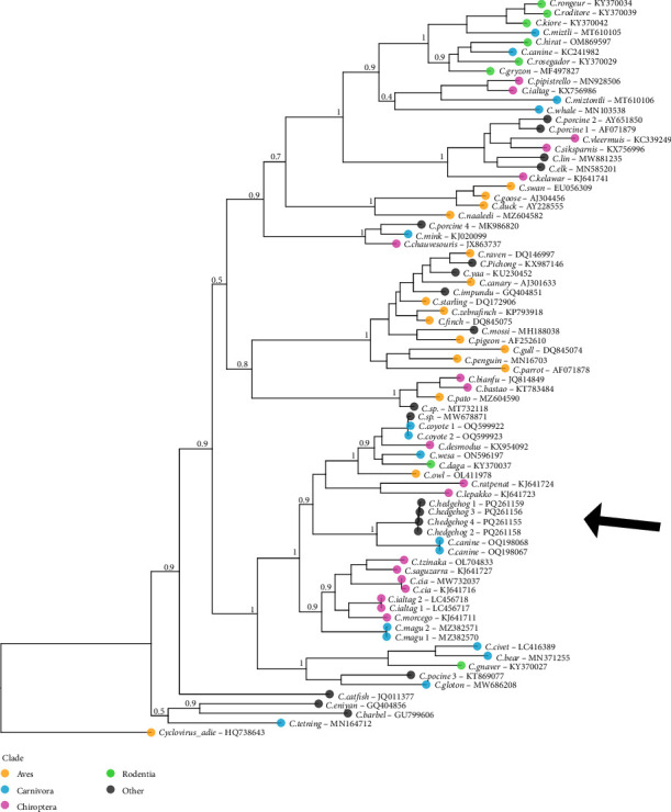 Figure 3