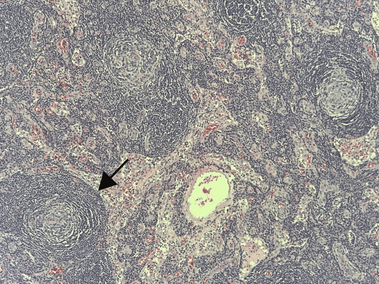 Figure 7