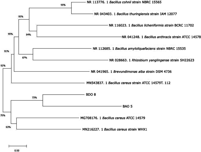 Figure 7