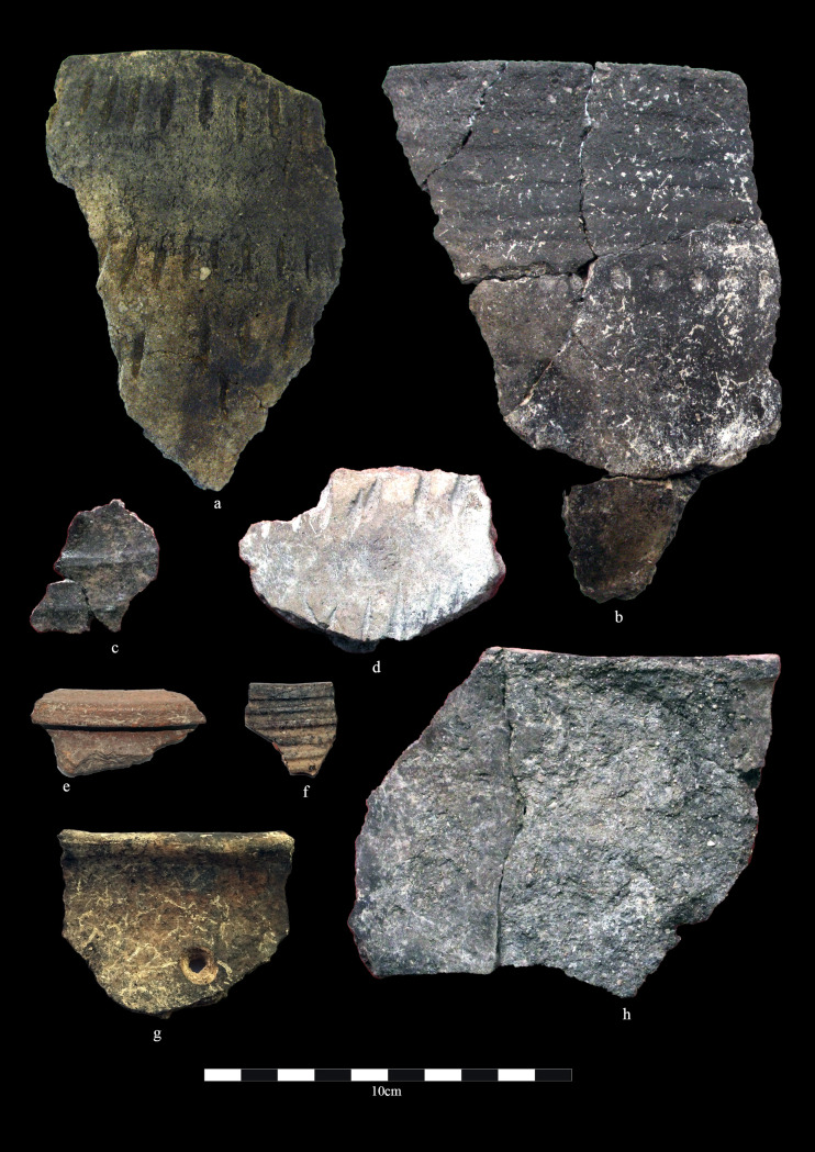 Fig 2