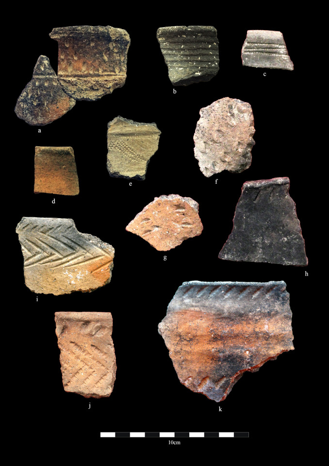 Fig 3