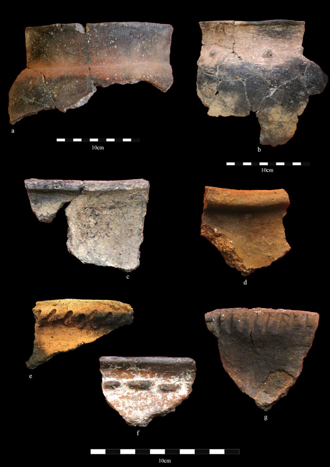 Fig 4