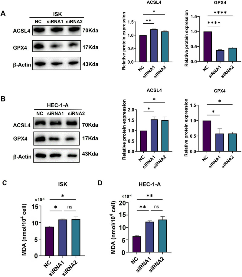 Fig. 18