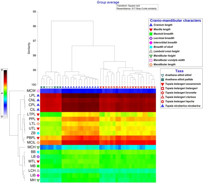 FIGURE 6