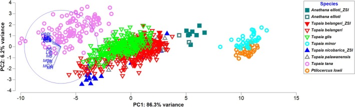 FIGURE 7