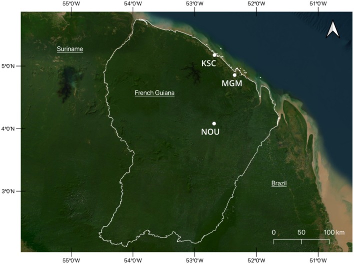 FIGURE 2