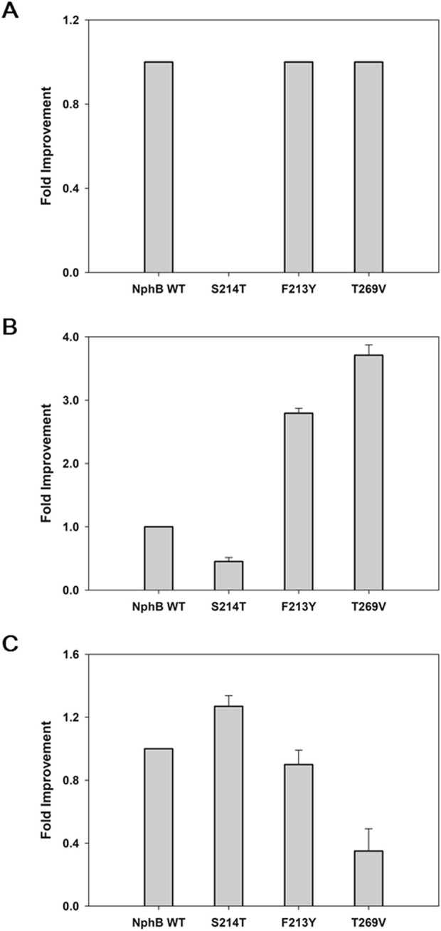 Figure 5