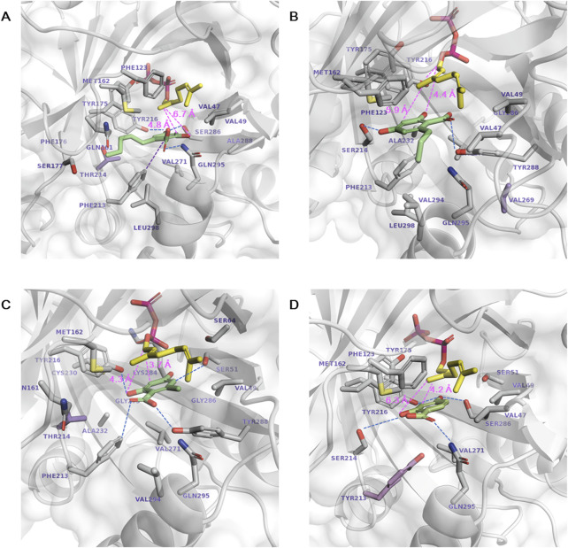 Figure 6