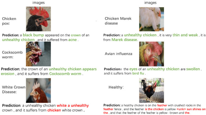 Figure 14